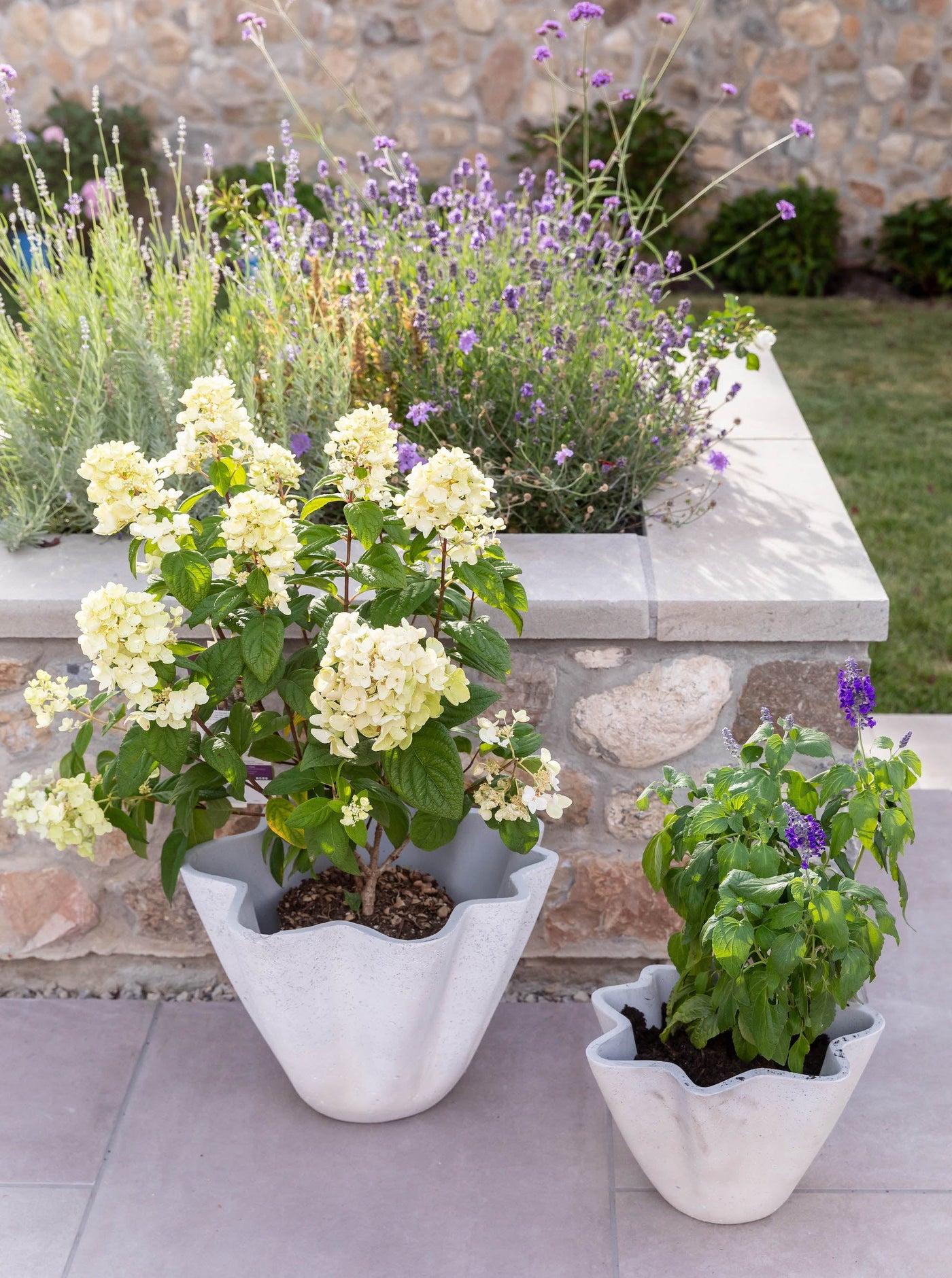 Wavy Planter