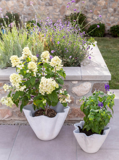 Wavy Planter