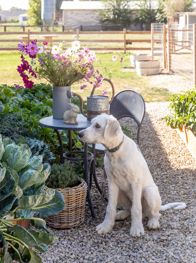 Hudson Rattan Basket