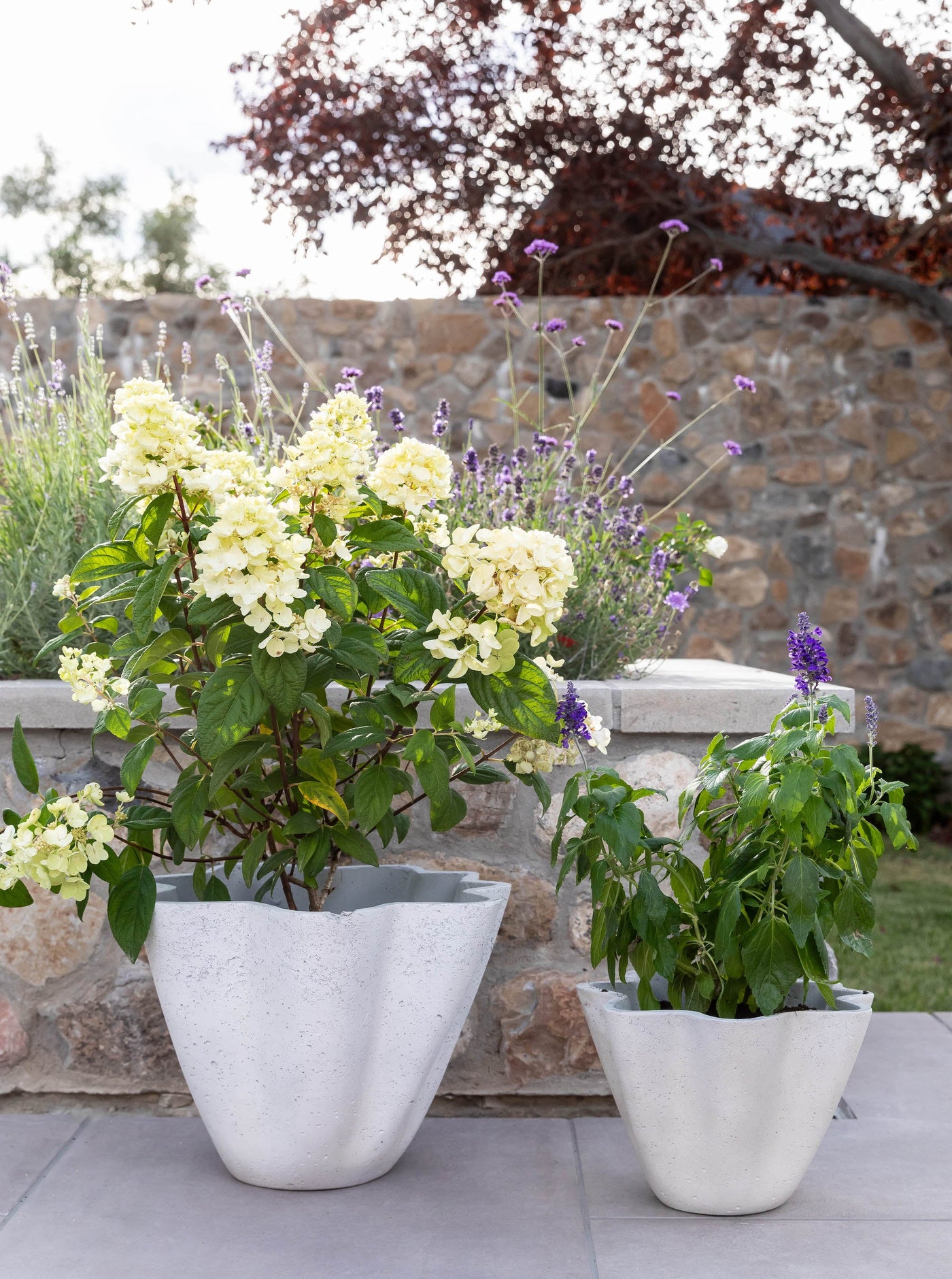 Wavy Planter