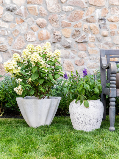 Wavy Planter